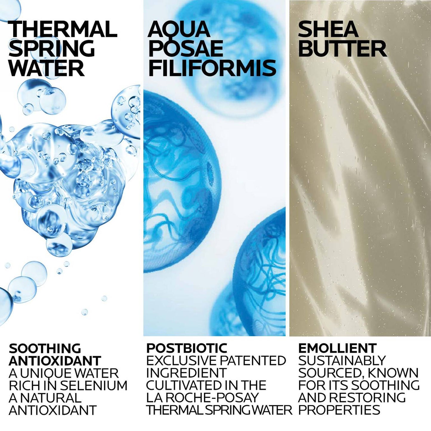 lipikar-wash-ap-moisturizing-body-and-face-wash-r8 Lipikar-Wash-ingredients_1500x1500-REV.jpg